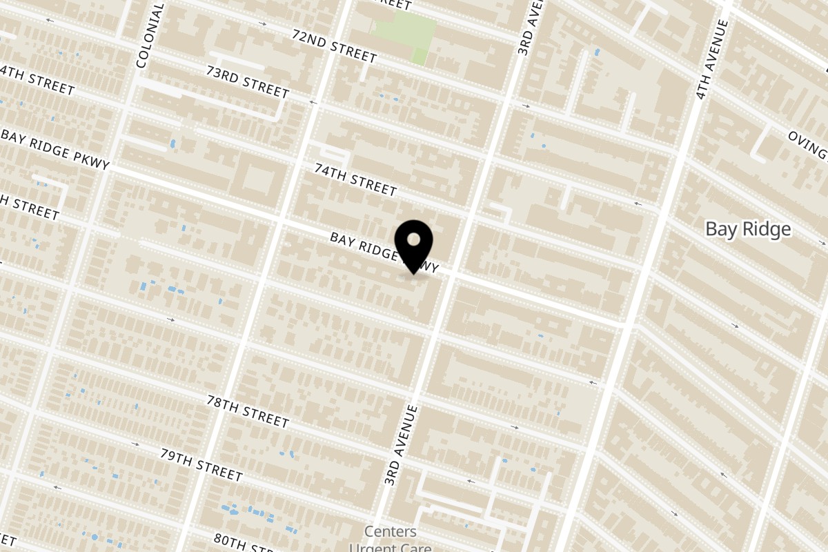Map showing the location of LTD Pizza and Bar Brooklyn on 276 Bay Ridge Pkwy in Brooklyn